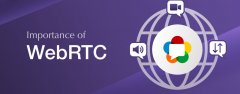Как избежать утечки реального IP-адреса через WebRTC при использовании прокси? Прикрепленное решение